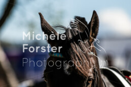2022_04_18_Ostermontag_MForsterPhotography_0424 - Michèle Forster Photography