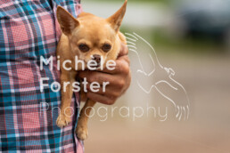 20220726_Avenches_MForsterPhotography_0064 - Michèle Forster Photography