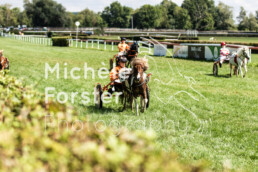 20220821_Dielsdorf_MForsterPhotography_0072 - Michèle Forster Photography