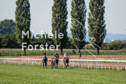 20220823_Avenches_MForsterPhotography_0110 - Michèle Forster Photography